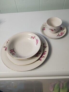 Pink Cherry Blossom With Gold Trim China Place Setting 5 Piece